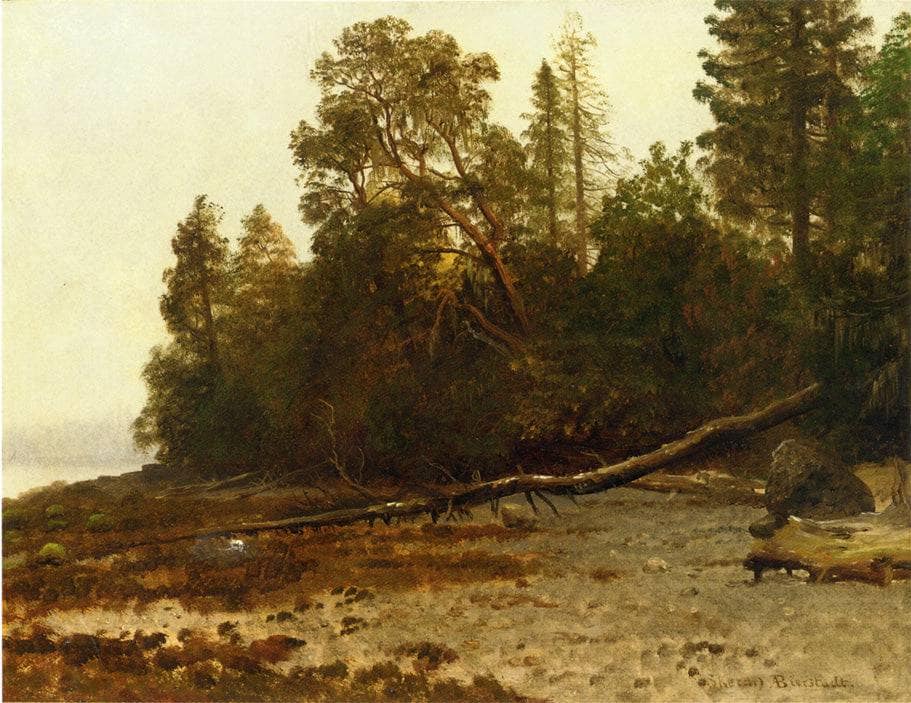 The Fallen Tree by Albert Bierstadt — hand-painted botanical oil painting reproduction on canvas