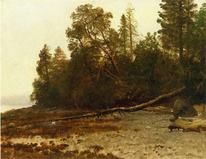 The Fallen Tree by Albert Bierstadt — hand-painted botanical oil painting reproduction on canvas