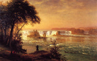 The Falls of St. Anthony by Albert Bierstadt — hand-painted botanical oil painting reproduction on canvas