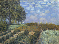 The Fields by Alfred Sisley — hand-painted botanical oil painting reproduction on canvas