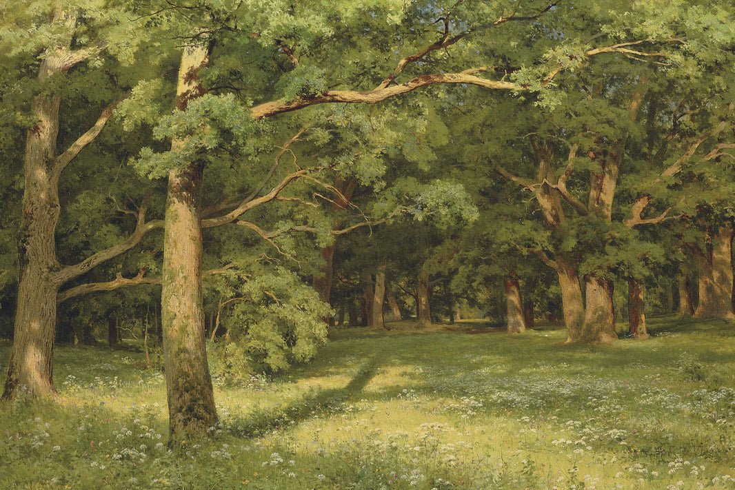 The Forest Clearing by Ivan Shishkin — hand-painted botanical oil painting reproduction on canvas