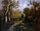 The Forest in Fontainebleau in living room