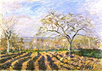 The Furrows by Alfred Sisley — hand-painted botanical oil painting reproduction on canvas
