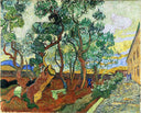 The Garden of St. Paul's Hospital at St. Remy by Vincent van Gogh — forest oil painting wall art, Post Impressionism