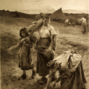 The gleaners in the evening