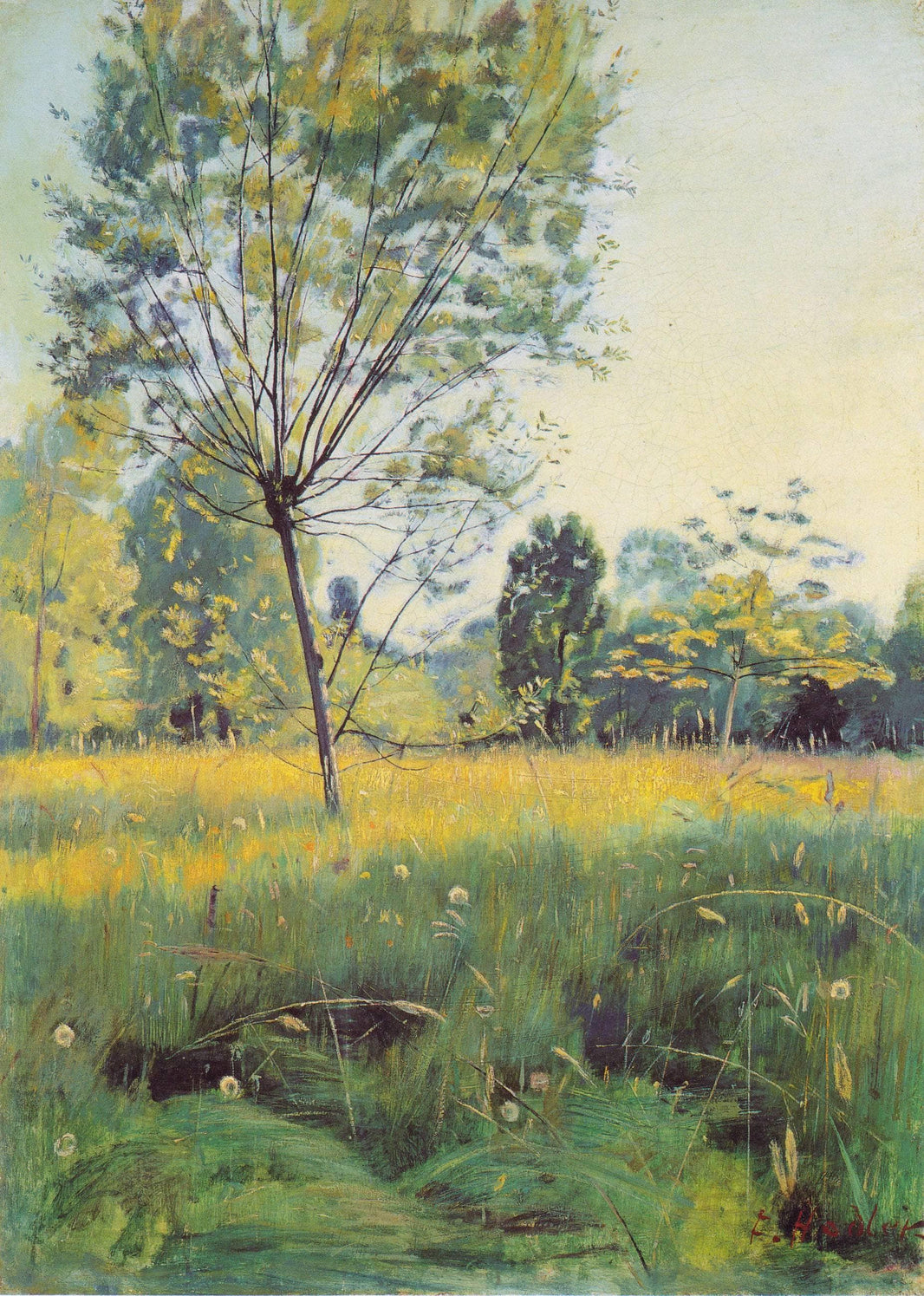 The Golden meadow by Ferdinand Hodler — hand-painted botanical oil painting reproduction on canvas