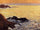 The Golden Sea - Quiberon in home office
