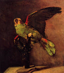 The Green Parrot by Vincent van Gogh — hand-painted animal oil painting reproduction on canvas