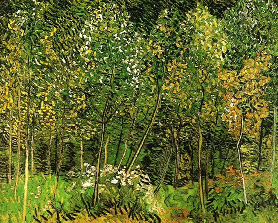 The Grove by Vincent van Gogh — hand-painted botanical oil painting reproduction on canvas