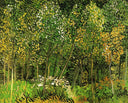 The Grove by Vincent van Gogh — hand-painted botanical oil painting reproduction on canvas