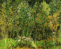 The Grove by Vincent van Gogh — hand-painted botanical oil painting reproduction on canvas