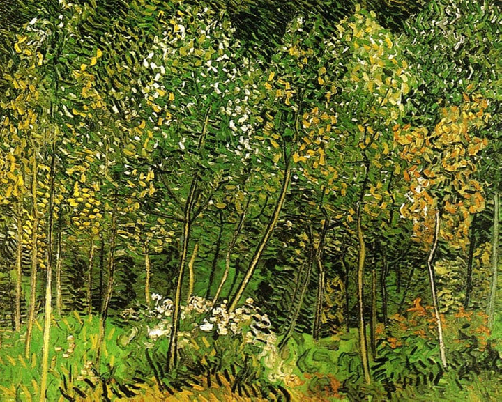 The Grove by Vincent van Gogh — hand-painted botanical oil painting reproduction on canvas