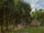 The House in the Forest in home office