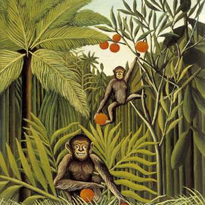 The Monkeys in the Jungle