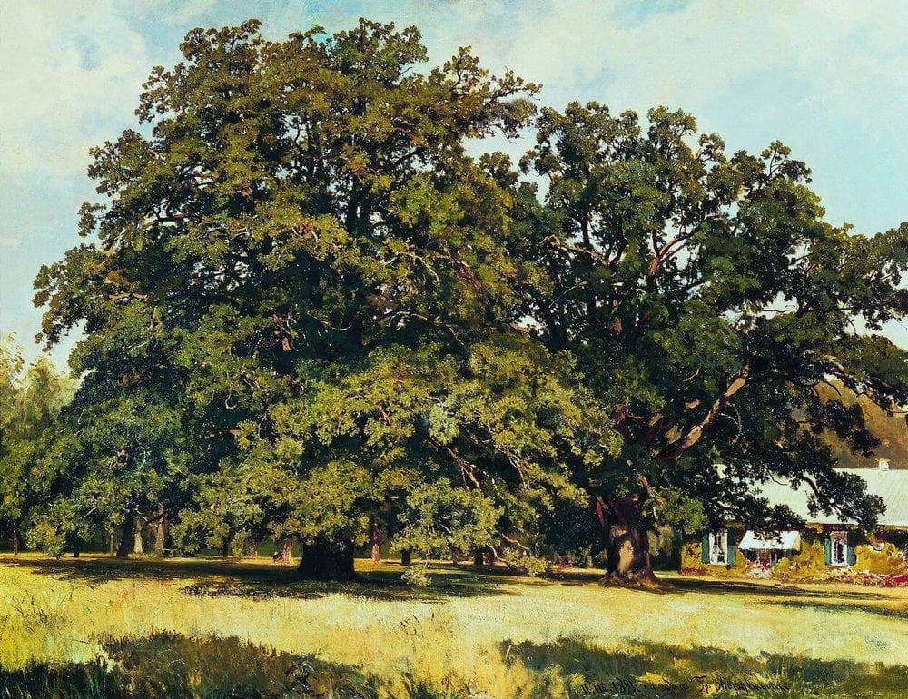 The Mordvinovo Oaks by Ivan Shishkin — hand-painted botanical oil painting reproduction on canvas