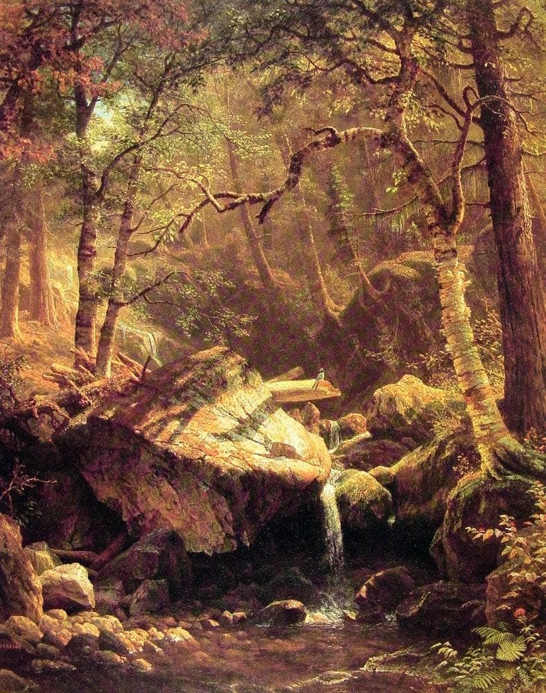 The Mountain Brook by Albert Bierstadt — hand-painted botanical oil painting reproduction on canvas