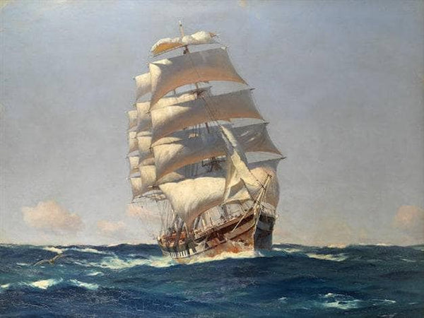 The Nitrate Ship