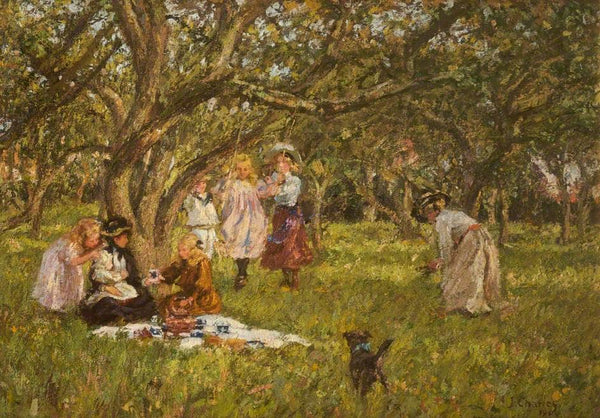 The Picnic