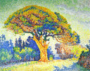 The Pine Tree at St. Tropez by Paul Signac — hand-painted botanical oil painting reproduction on canvas