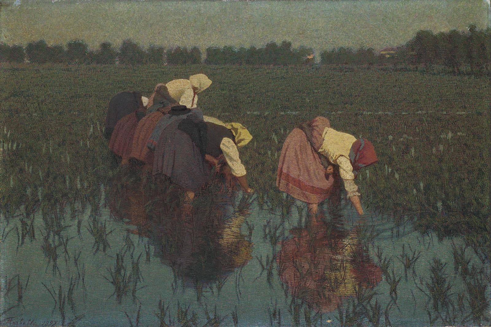 The rice seeders - Angelo Morbelli