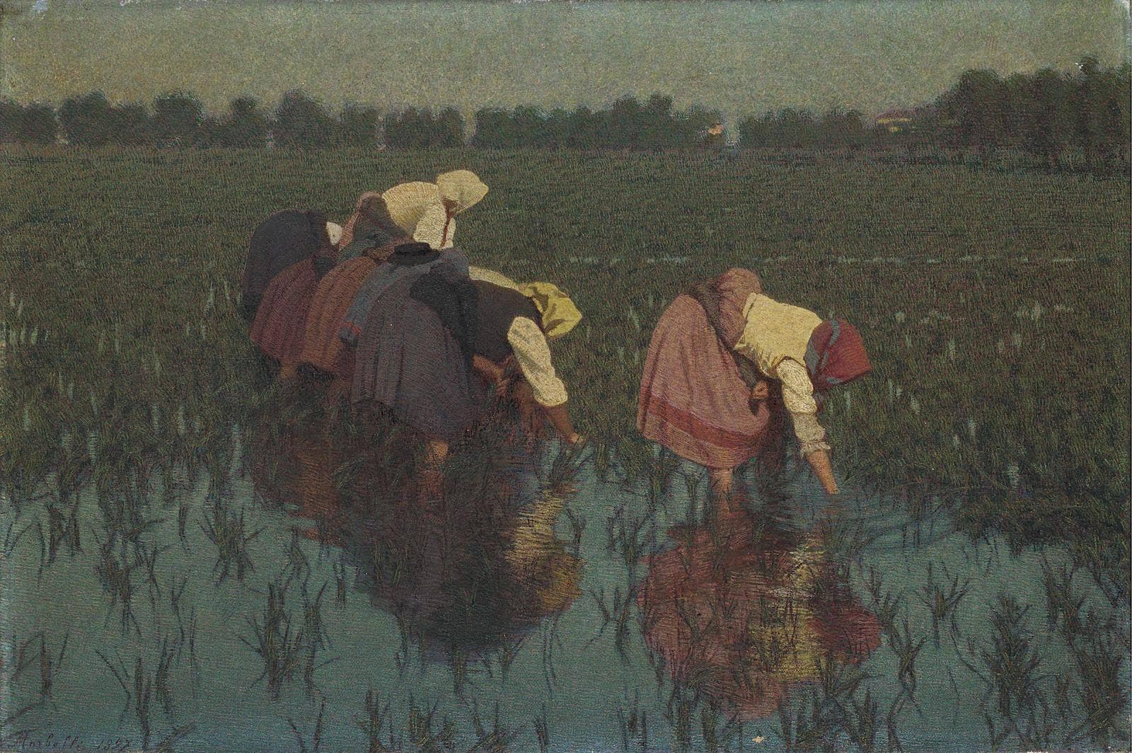 The rice seeders by Angelo Morbelli | Oil Painting