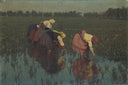 The rice seeders by Angelo Morbelli — field oil painting wall art, Divisionism