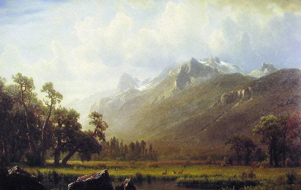 The Sierras near Lake Tahoe by Albert Bierstadt — hand-painted botanical oil painting reproduction on canvas