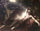 The Sleep of Endymion in dining room