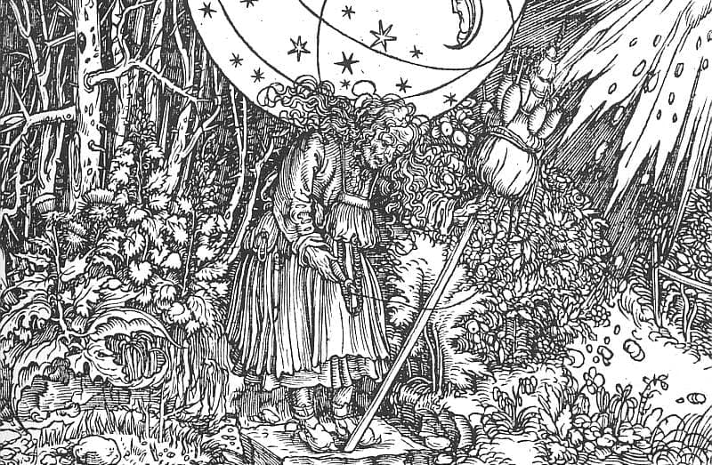 The Spinner by Hans Holbein the Younger — hand-painted botanical oil painting reproduction on canvas