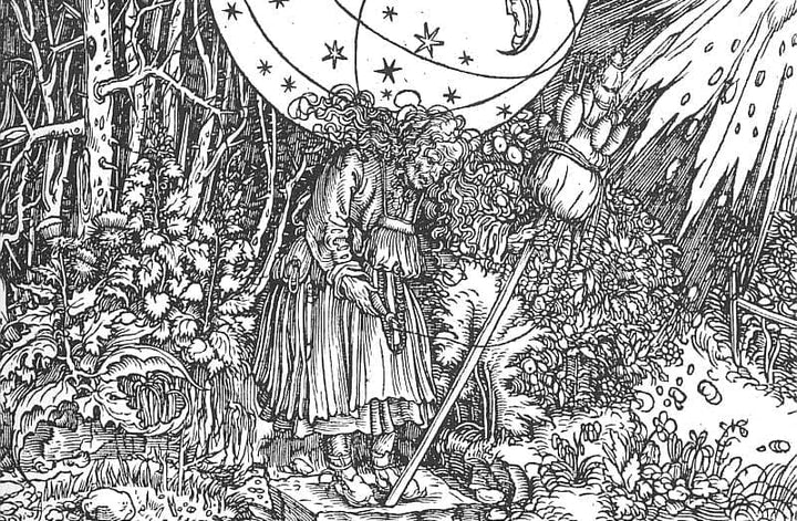 The Spinner by Hans Holbein the Younger — hand-painted botanical oil painting reproduction on canvas