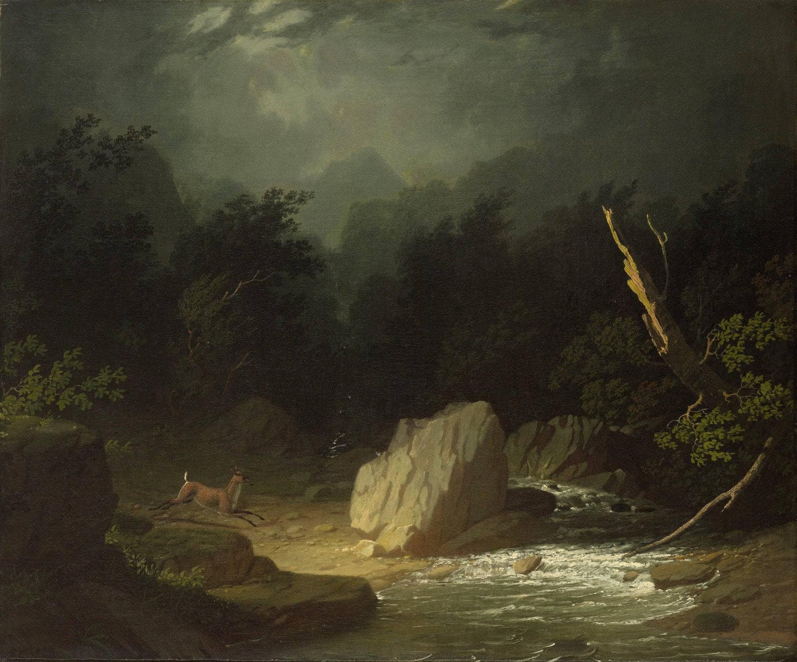 The Storm