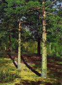 The Sun lit Pines by Ivan Shishkin — hand-painted botanical oil painting reproduction on canvas