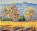 The Sycamores, Pasadena by Guy Rose — hand-painted botanical oil painting reproduction on canvas