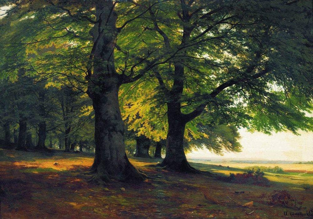The Teutoburg Forest - Ivan Shishkin