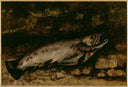 The Trout by Gustave Courbet — fish oil painting wall art, Realism