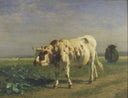 The white bull by Constant Troyon — hand-painted animal oil painting reproduction on canvas
