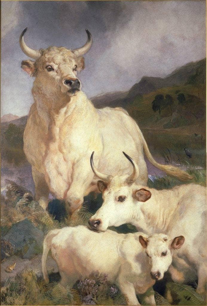 The Wild Cattle of Chillingham by Edwin Henry Landseer — hand-painted animal oil painting reproduction on canvas