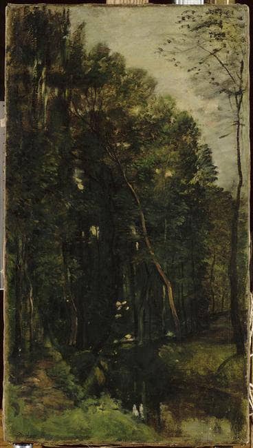 The woods and creek by Charles-Francois Daubigny — hand-painted botanical oil painting reproduction on canvas