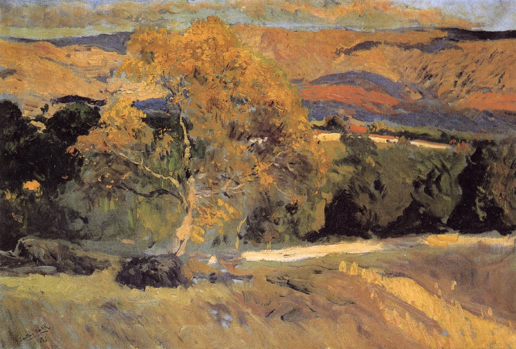 The Yellow Tree, La Granja - Joaquín Sorolla