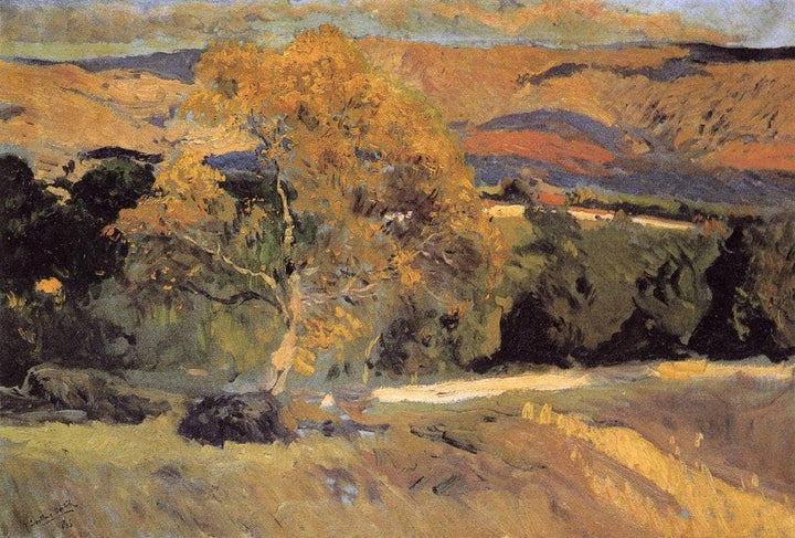 The Yellow Tree, La Granja by Joaquín Sorolla — hand-painted botanical oil painting reproduction on canvas
