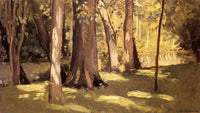 The Yerres, Effect of Ligh