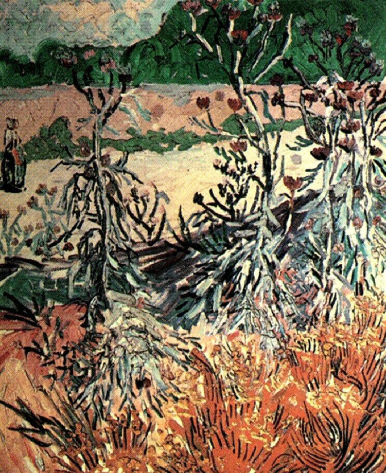 Thistles - Vincent van Gogh