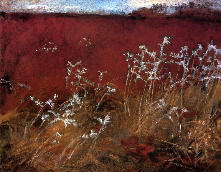 Thistles - John Singer Sargent