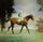Thoroughbred with Jockey up in hallway