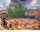 Threshing Floor, Santa Fe in study