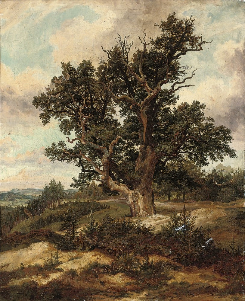 Tree on a Mountain Pass - Ferdinand Bellermann