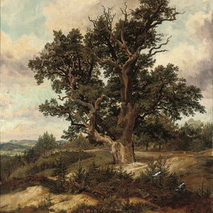 Tree on a Mountain Pass