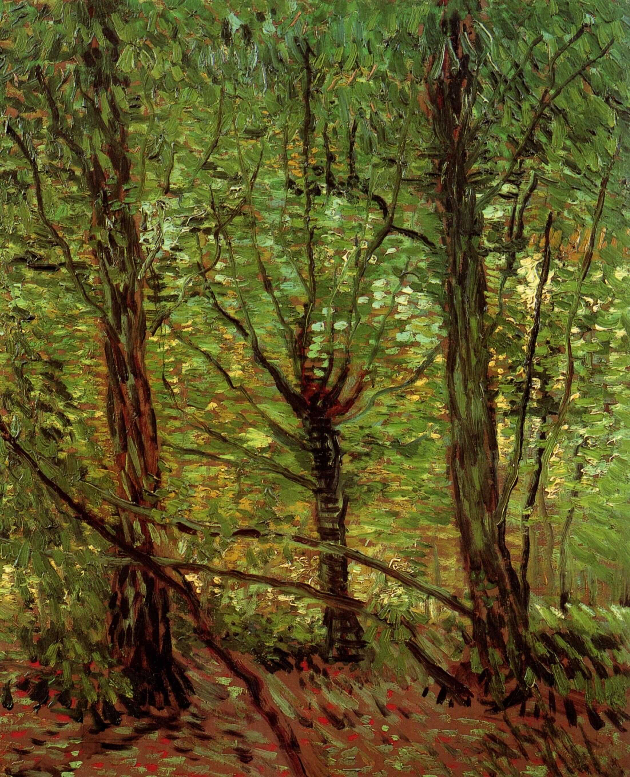 Trees and Undergrowth - Vincent van Gogh