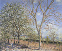 Trees in Bloom by Alfred Sisley — hand-painted botanical oil painting reproduction on canvas