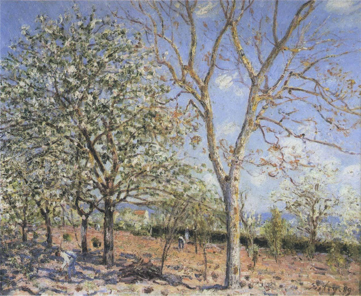 Trees in Bloom by Alfred Sisley — hand-painted botanical oil painting reproduction on canvas